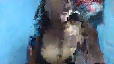 Snapshot of verolla31 chatting on 02-02-25, 08:08 verolla31 online show from 02-02-25, 08:08