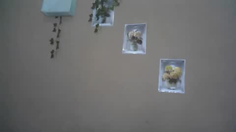 verronique1511 online show from 04-22-26, 04:04