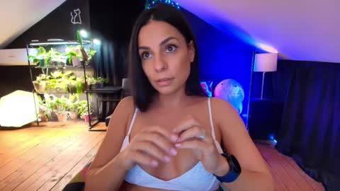 vevelicious online show from 11-07-25, 08:42