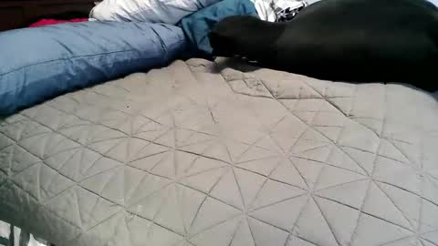 Vexnew online show from 11-04-25, 06:51