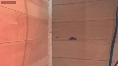 vickyvalencia2 online show from 06-23-26, 01:53