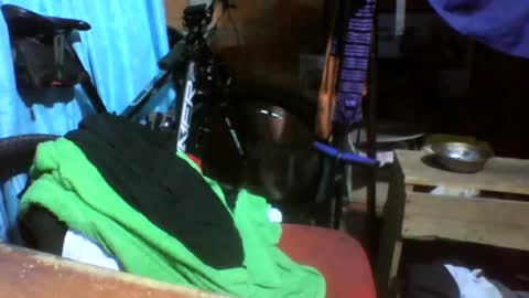 Snapshot of viernes1010 chatting on 06-21-26, 03:03 viernes1010 online show from 06-21-26, 03:03