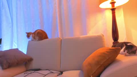 VIOLET  online show from 06-15-26, 02:25