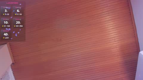 Snapshot of viiolett_lee chatting on 02-22-25, 02:28 Viiolett online show from 02-22-25, 02:28