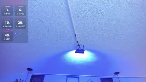 Snapshot of viiolett_lee chatting on 02-24-25, 01:24 Viiolett online show from 02-24-25, 01:24