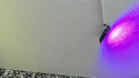 Snapshot of viiolett_lee chatting on 09-17-25, 04:19 Viiolett online show from 09-17-25, 04:19