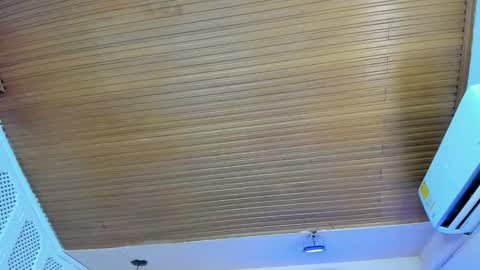 Snapshot of viiolett_lee chatting on 10-15-25, 08:53 Viiolett online show from 10-15-25, 08:53