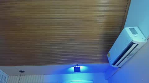 Snapshot of viiolett_lee chatting on 11-25-25, 08:31 Viiolett online show from 11-25-25, 08:31