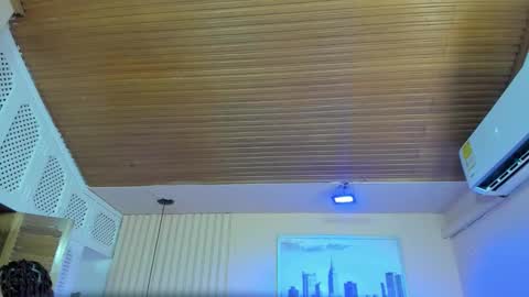 Snapshot of viiolett_lee chatting on 12-14-25, 07:29 Viiolett online show from 12-14-25, 07:29