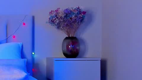 Snapshot of vikkilustfull chatting on 01-17-25, 06:44 VIKKI online show from 01-17-25, 06:44