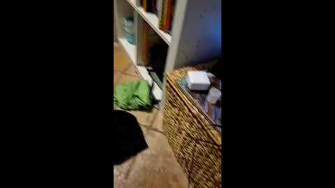 Snapshot of vinziiiii chatting on 03-11-26, 02:17 Vinz online show from 03-11-26, 02:17