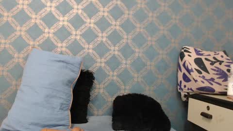 Violeta  online show from 12-18-24, 01:15