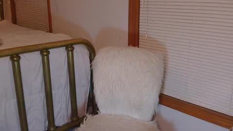 Violet Skye online show from 03-11-26, 11:44