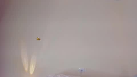 Snapshot of violett_24_ chatting on 11-29-25, 11:30 violett_24_ online show from 11-29-25, 11:30