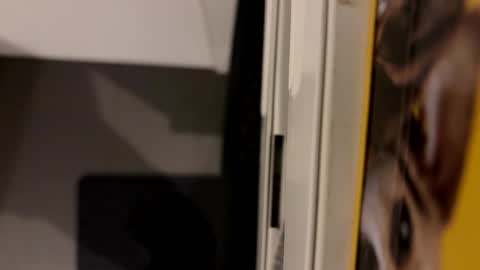 John online show from 12-06-24, 11:25