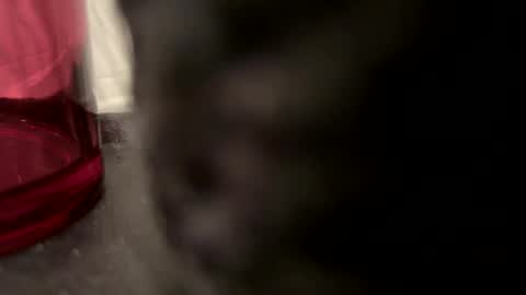 John online show from 12-22-24, 05:21