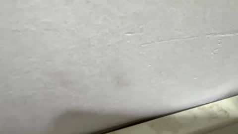 Snapshot of vmontel88 chatting on 03-17-26, 01:36 vmontel88 online show from 03-17-26, 01:36