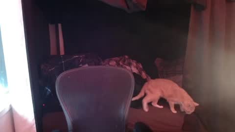 Snapshot of voidcatdaddy chatting on 04-27-26, 06:06 Rev online show from 04-27-26, 06:06
