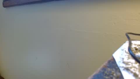 vtcd online show from 04-29-26, 02:43