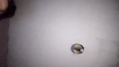 vujadetr online show from 09-20-25, 07:42