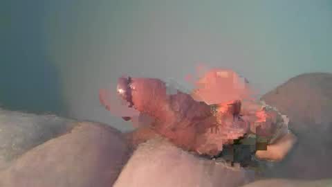 vukavuka99 online show from 10-26-25, 09:53