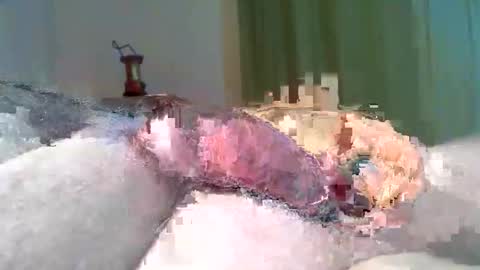 Snapshot of vukavuka99 chatting on 03-08-26, 09:29 vukavuka99 online show from 03-08-26, 09:29