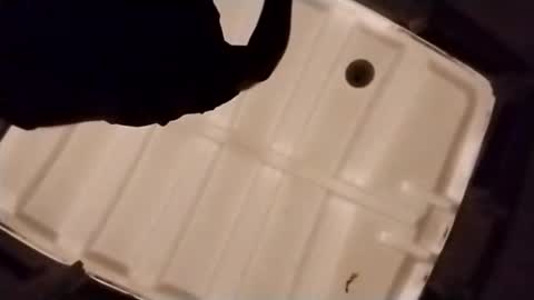 waffywaff77 online show from 12-04-25, 01:09