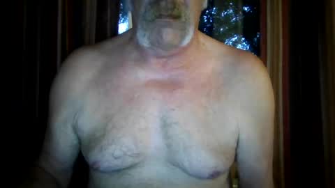 wahassa online show from 07-28-26, 08:52