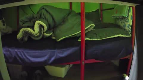 Snapshot of walltazv chatting on 03-24-26, 05:01 Kentaro online show from 03-24-26, 05:01