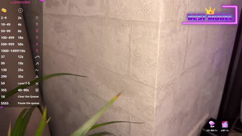 Snapshot of walt_enjoy chatting on 02-01-25, 08:26 Walt Enjoy online show from 02-01-25, 08:26