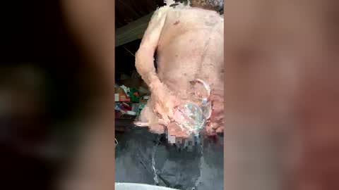 Walter online show from 03-12-26, 05:52