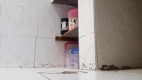 WaltherFeet  online show from 01-02-25, 09:50