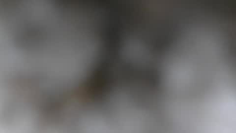 wantmymantofukme online show from 10-21-25, 06:19