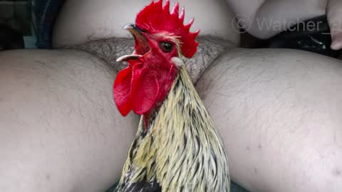 classified online show from 12-08-24, 08:15