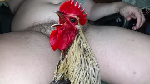 classified online show from 12-24-24, 11:33