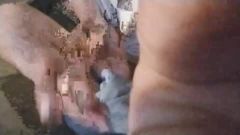 watchmespun online show from 11-07-25, 10:43