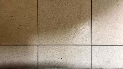 Snapshot of webchatter99 chatting on 01-02-25, 07:33 webchatter99 online show from 01-02-25, 07:33