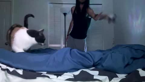 Snapshot of weedwacker43 chatting on 12-26-24, 07:03 weedwacker43 online show from 12-26-24, 07:03