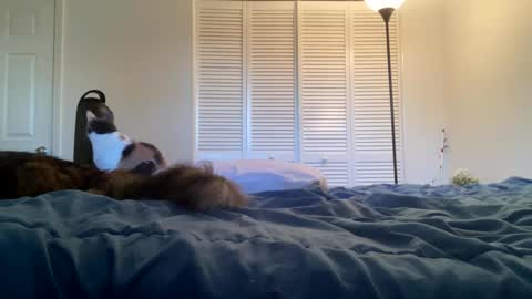 Snapshot of weedwacker43 chatting on 02-26-25, 10:53 weedwacker43 online show from 02-26-25, 10:53