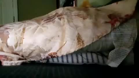 welldny online show from 10-19-25, 06:08