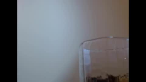 TaTis online show from 05-29-26, 02:04