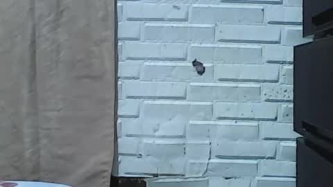 Snapshot of wettyhottie69 chatting on 02-03-26, 06:11 wettyhottie69 online show from 02-03-26, 06:11