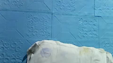 Snapshot of wettyhottie69 chatting on 07-01-26, 10:31 wettyhottie69 online show from 07-01-26, 10:31