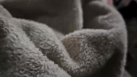 Snapshot of what_whaaat chatting on 11-02-25, 09:11 what_whaaat online show from 11-02-25, 09:11