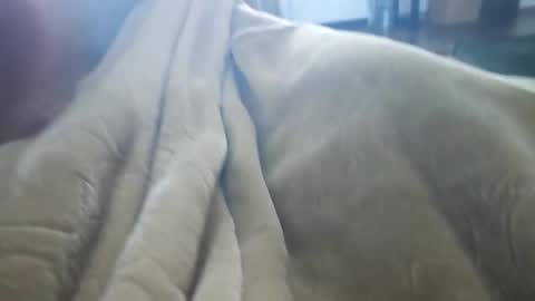 Snapshot of what_whaaat chatting on 11-03-25, 09:16 what_whaaat online show from 11-03-25, 09:16