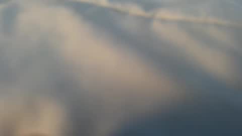 Snapshot of whatever_i_have_to_do chatting on 03-13-26, 05:08 whatever_i_have_to_do online show from 03-13-26, 05:08