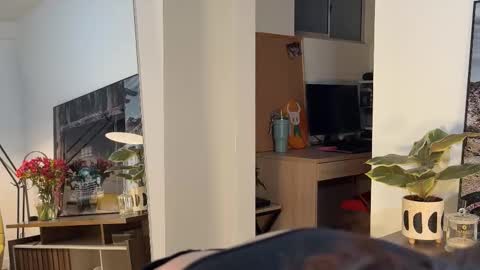 Aleska online show from 03-09-26, 11:53