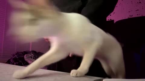 Snapshot of whatsinmystucco chatting on 01-06-26, 01:04 whatsinmystucco online show from 01-06-26, 01:04