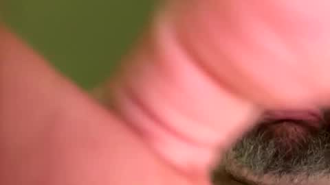 wheels700 online show from 02-26-25, 08:00