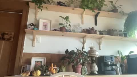 Snapshot of whiskylovexxx chatting on 11-04-25, 04:50 WhiskyLove online show from 11-04-25, 04:50